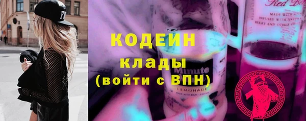 PSILOCYBIN Корсаков