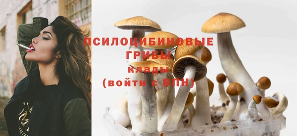 прущая мука Кодинск