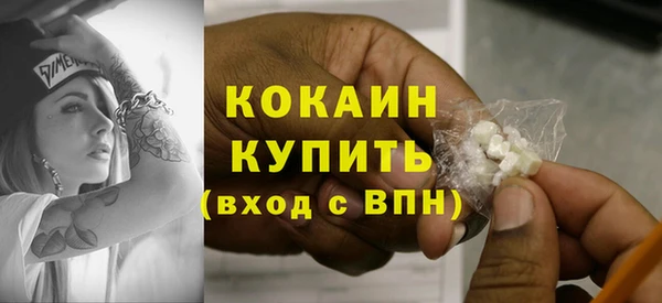 PSILOCYBIN Корсаков