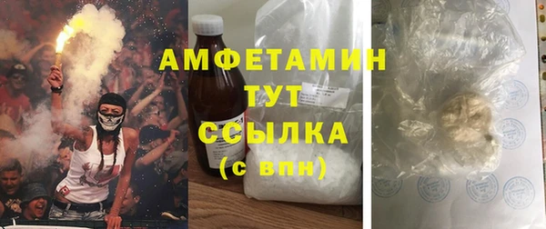 PSILOCYBIN Корсаков