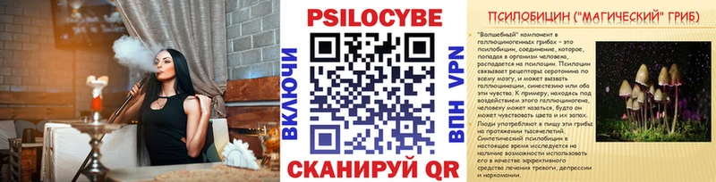 darknet клад  наркота  Котельнич  Галлюциногенные грибы прущие грибы 