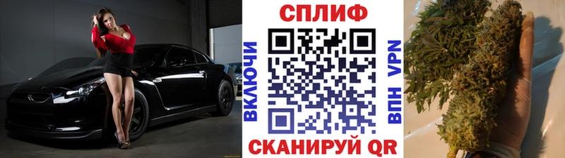 МАРИХУАНА ГИДРОПОН  Котельнич 